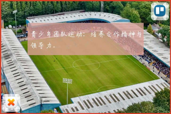 青少年团队运动：培养合作精神与领导力。