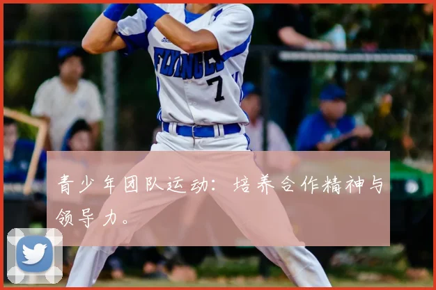 青少年团队运动:培养合作精神与领导力。