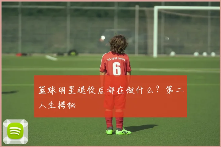 篮球明星退役后都在做什么？第二人生揭秘