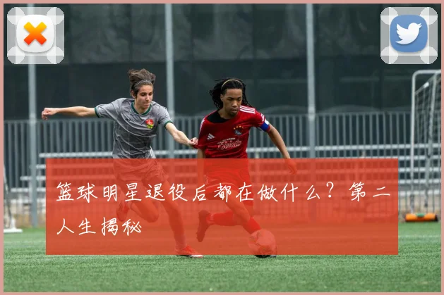篮球明星退役后都在做什么？第二人生揭秘